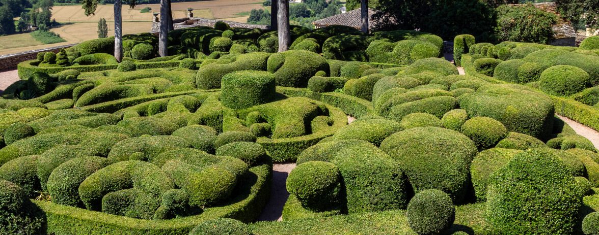 Beautiful Topiary Hedging