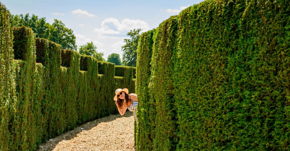 Landscaped Garden - Manicured hedging with gravel