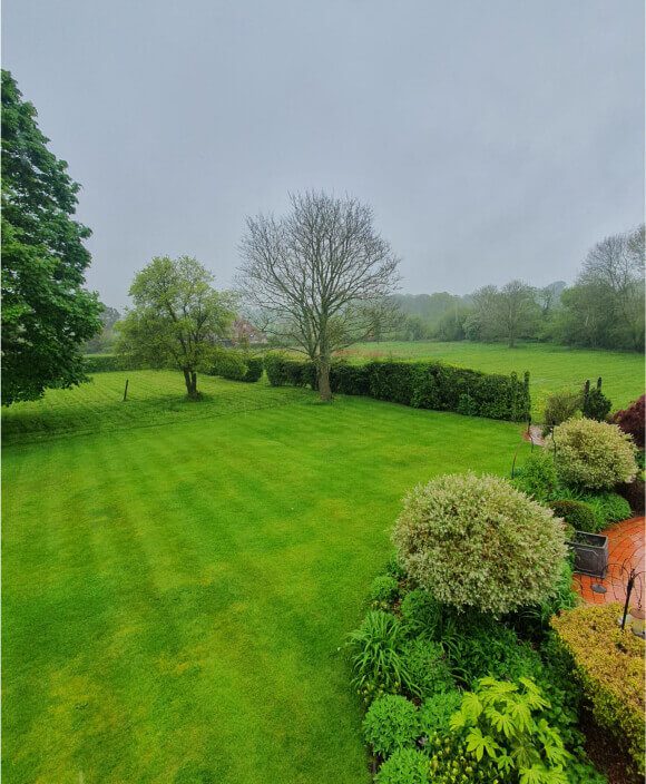 One of our clients gardens showing a large freshly cut lawn, hedges and maintained boarders.