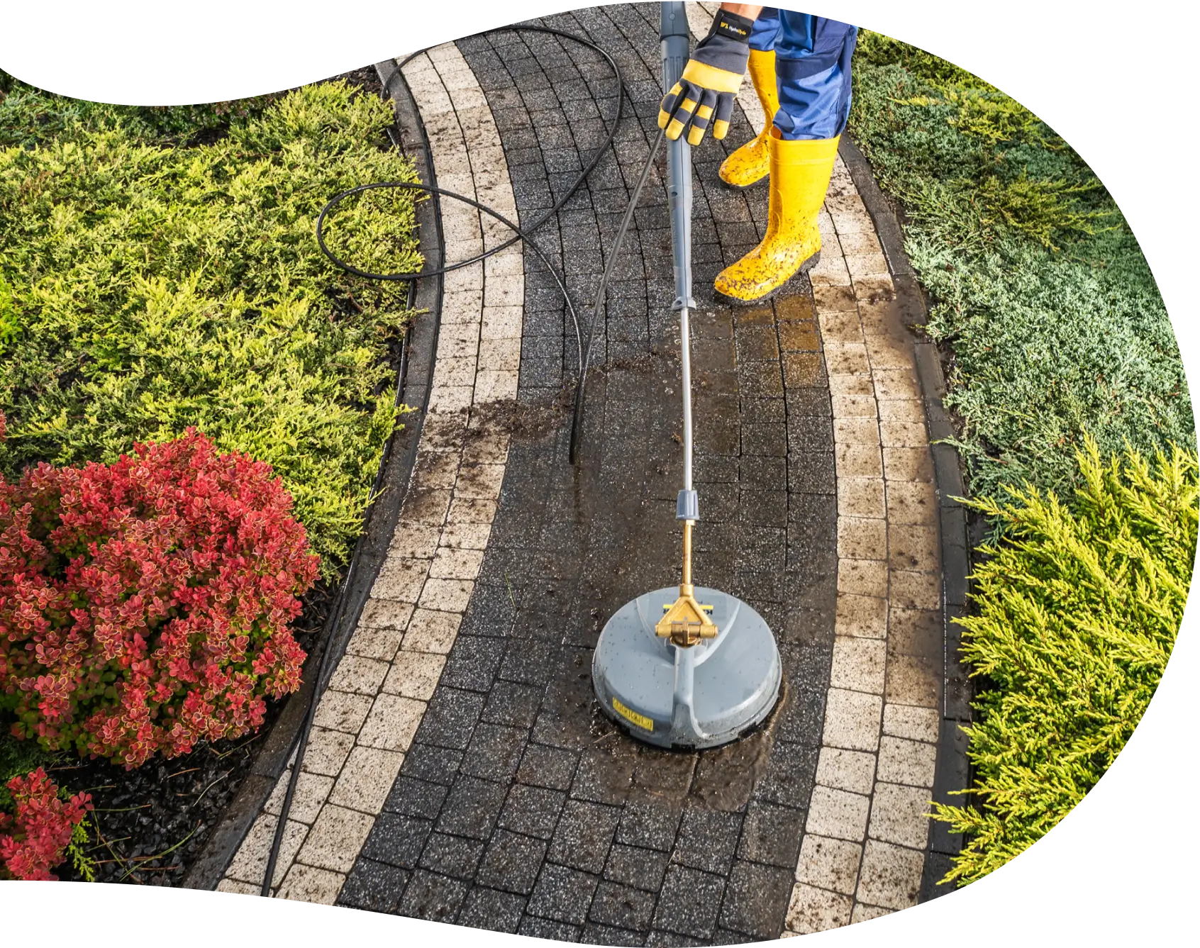 Exterior Cleaning of a garden path