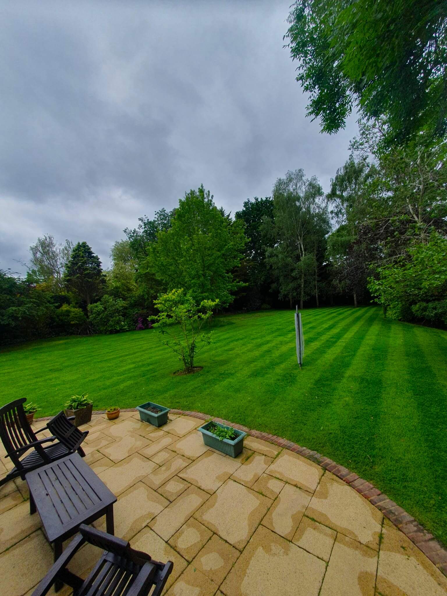 Curved patio maintained by Hedgehog Gardens leading to a large, freshly cut lawn surrounded by various trees, showcasing a spacious and well-kept garden.