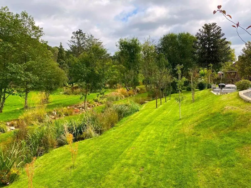 Testimonial - Beautiful garden of a happy client