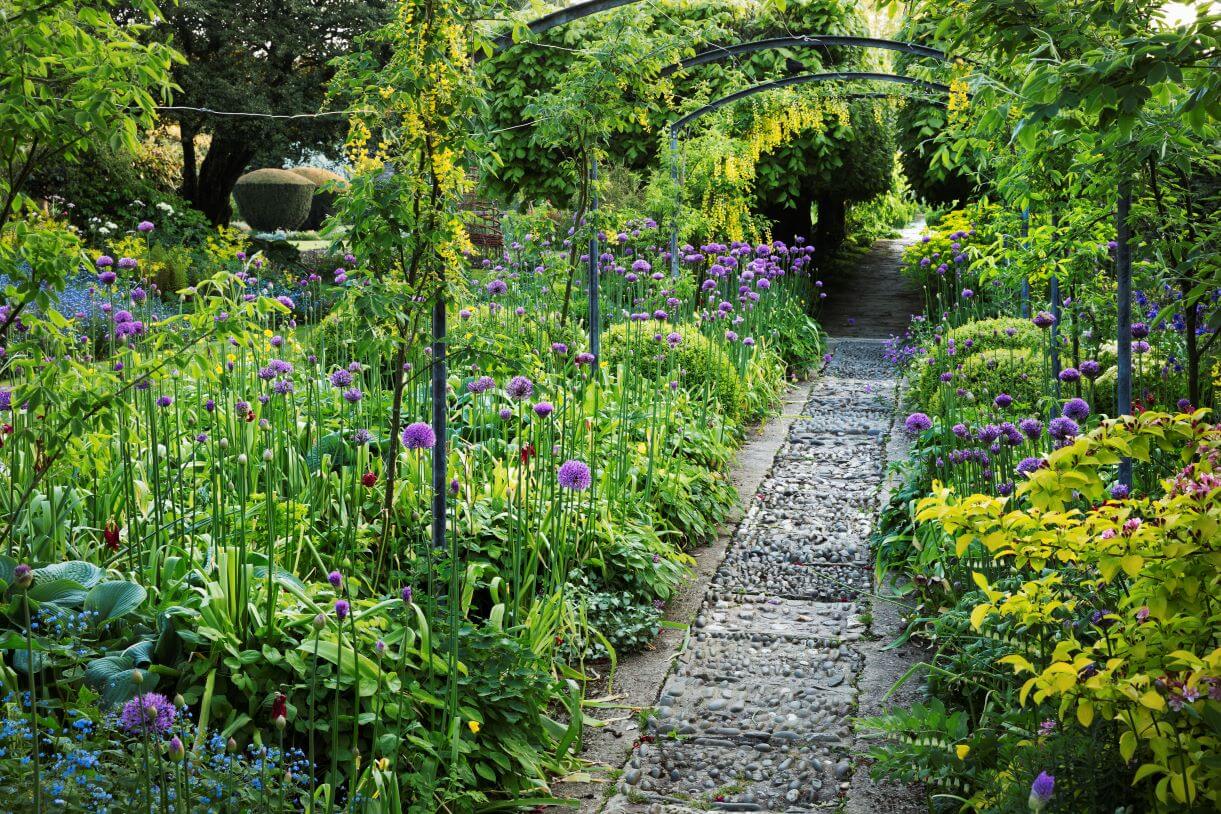 Summer Surrey Garden