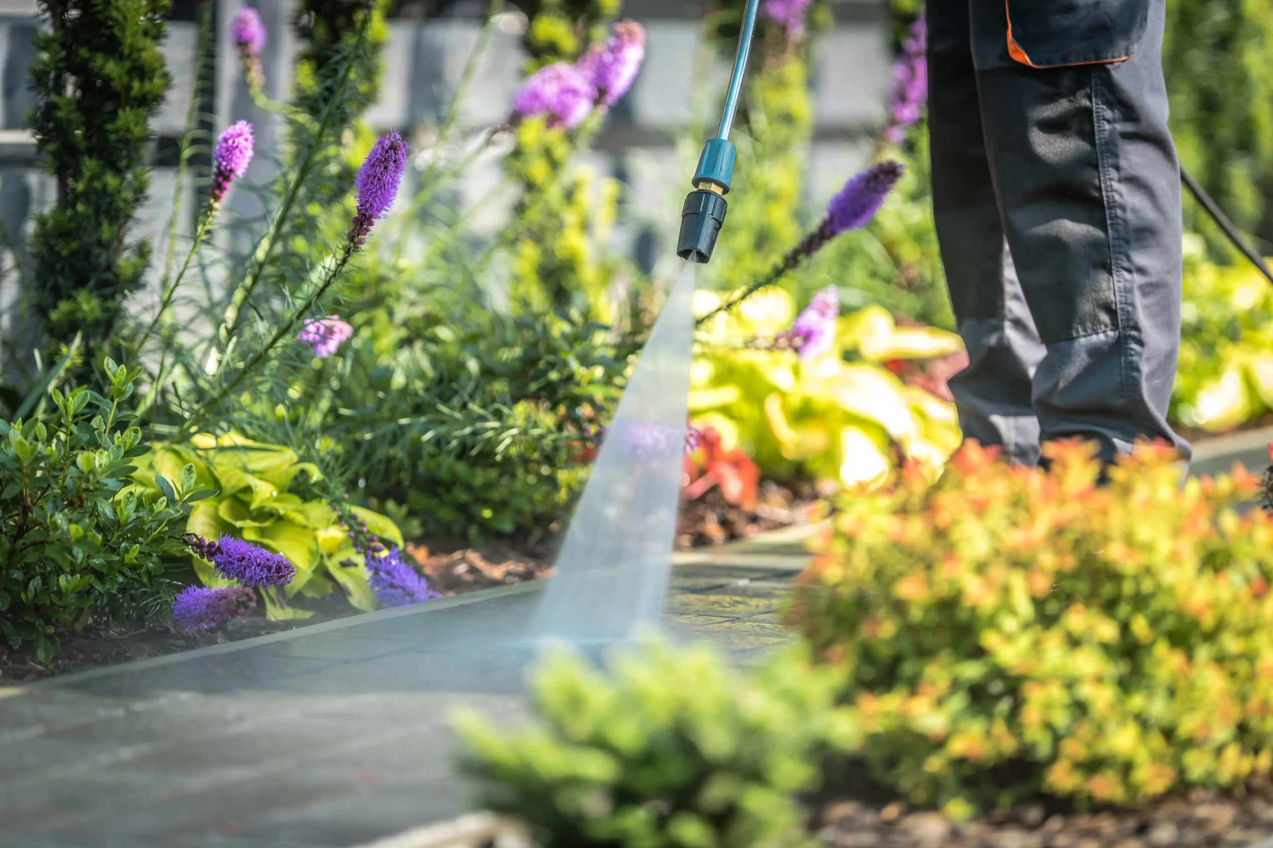 exterior-garden-cleaning-hedgehoggardens